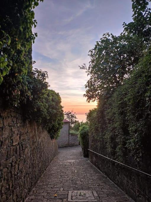 Apartma Belin With Garden And Private Parking Piran Exterior foto