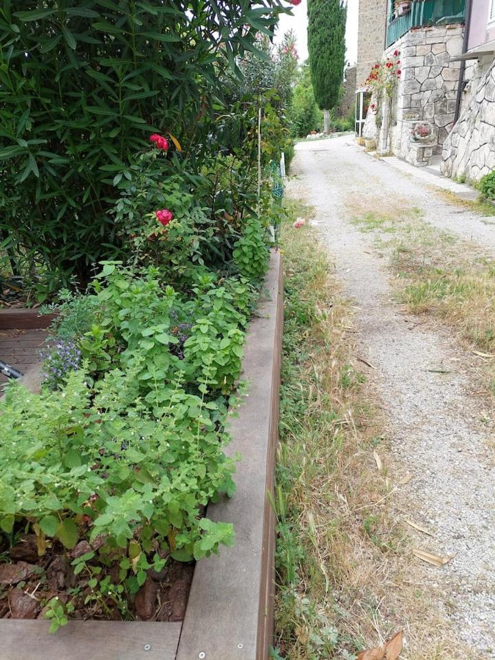 Apartma Belin With Garden And Private Parking Piran Exterior foto